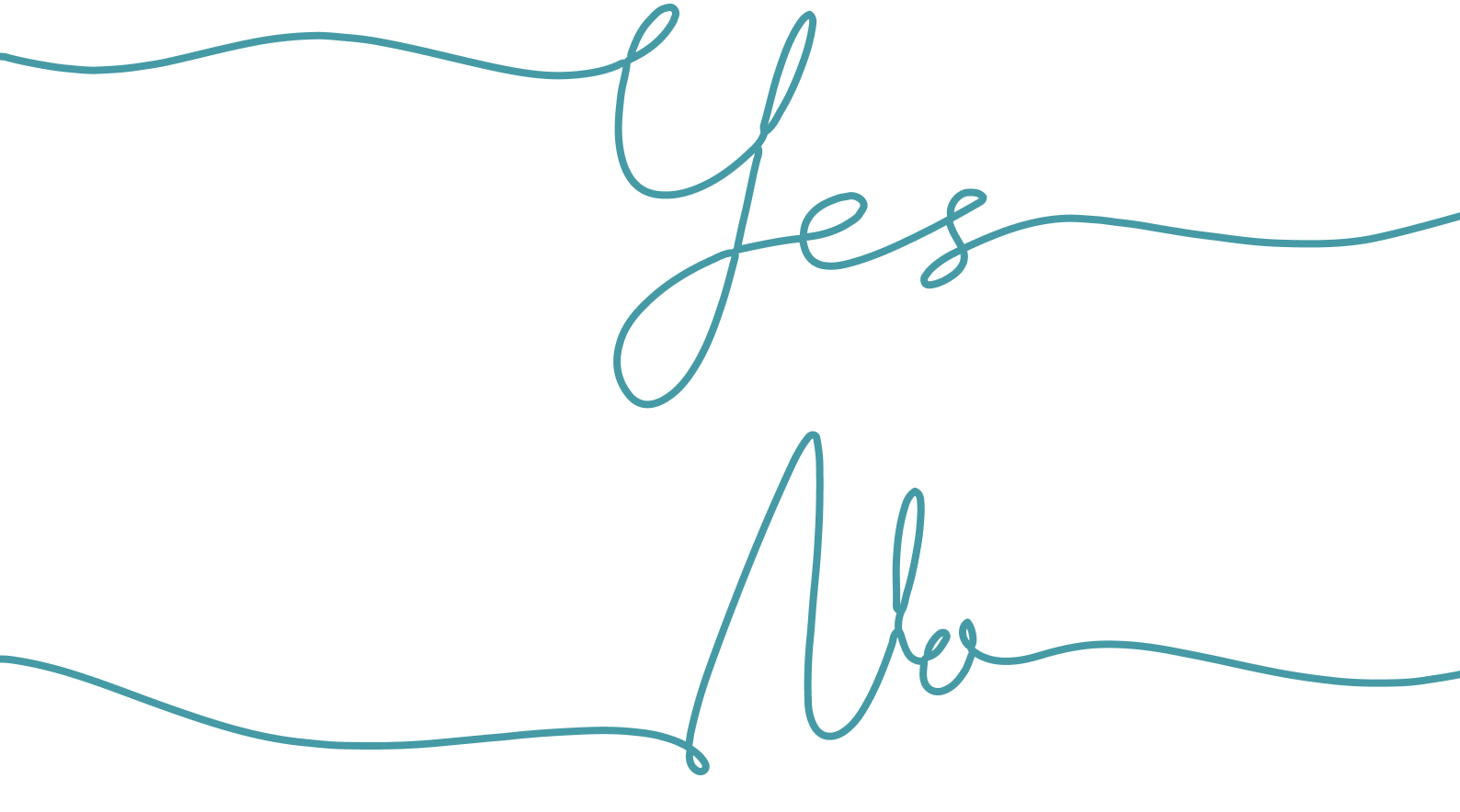 Tender and Procurement